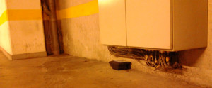 Estação para desratização